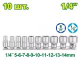 Набор головок 1/4 " DYLLU DTST4410 (10шт)