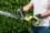 Кусторез RYOBI RY18HT55A-120 система ONE +