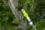 Секатор (сучкорез) RYOBI RY18PLA-0 (без батареи) система ONE +