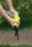 Секатор (сучкорез) RYOBI RY18PLA-0 (без батареи) система ONE +
