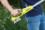 Секатор (сучкорез) RYOBI RY18PLA-0 (без батареи) система ONE +